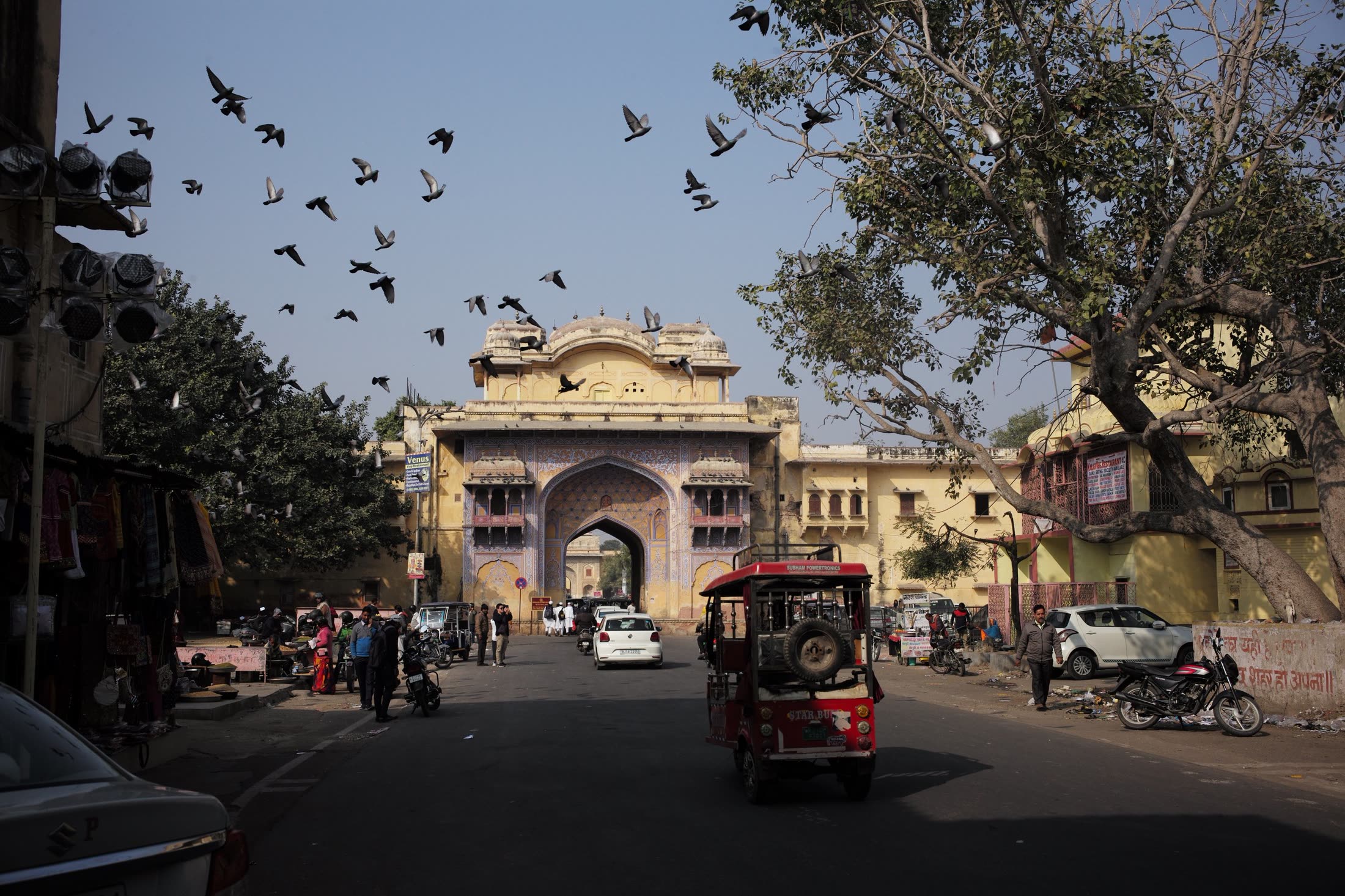 Pigeons rising over a gate on a Jaipur street